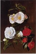 unknow artist, Floral, beautiful classical still life of flowers 028